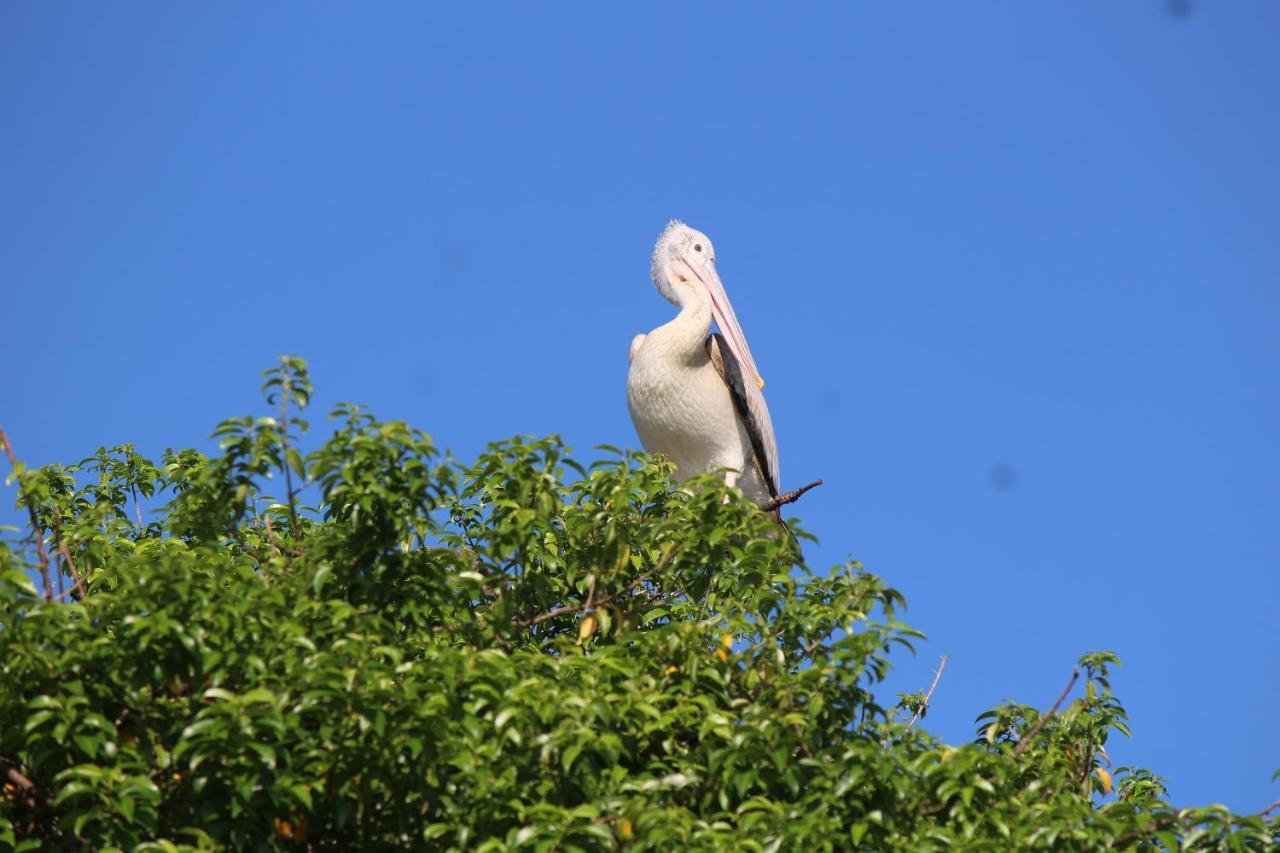 Natures Bliss Holidays Ja-Ela Εξωτερικό φωτογραφία